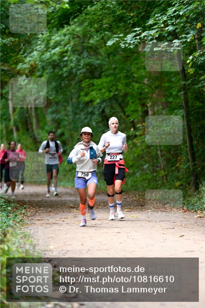 11.10.2026 - Bramfelder Halbmarathon 2026 Dr. Thomas Lammeyer http://msf.ph/oto/10816610 11.10.2026 09:53:54 Laufen 759, 227 meine-sportfotos.de