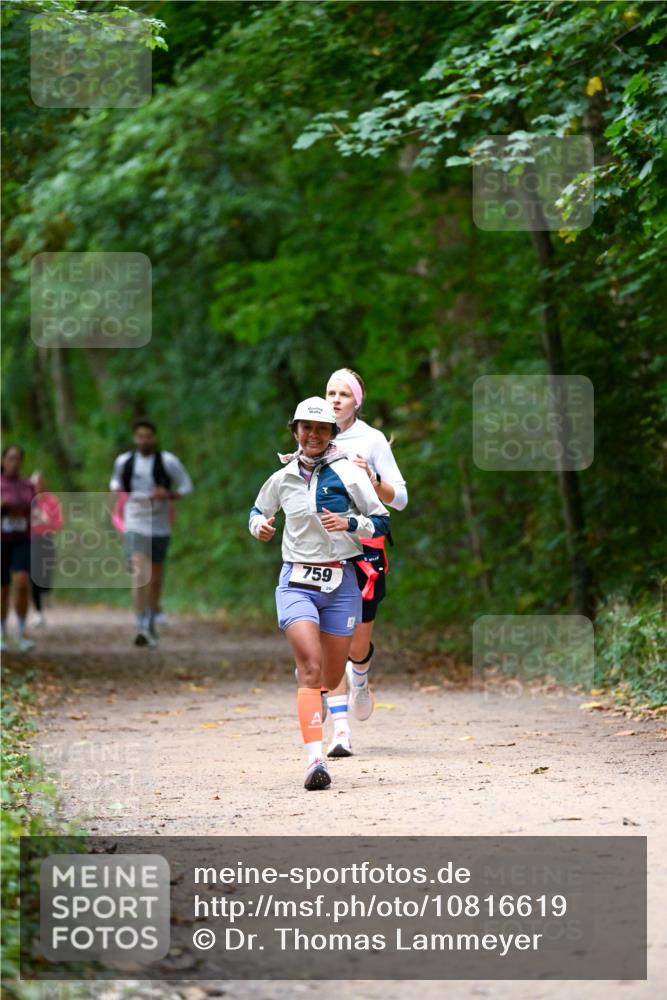 11.10.2026 - Bramfelder Halbmarathon 2026 Dr. Thomas Lammeyer http://msf.ph/oto/10816619 11.10.2026 09:53:56 Laufen 759 meine-sportfotos.de