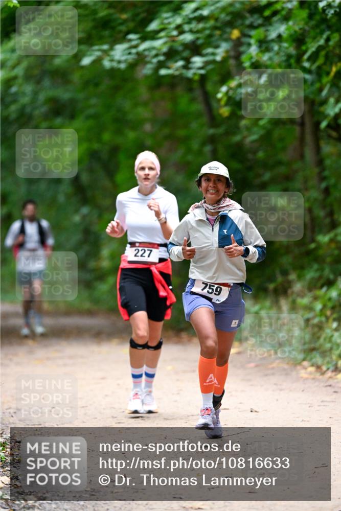 11.10.2026 - Bramfelder Halbmarathon 2026 Dr. Thomas Lammeyer http://msf.ph/oto/10816633 11.10.2026 09:53:57 Laufen 227, 759, 244 meine-sportfotos.de