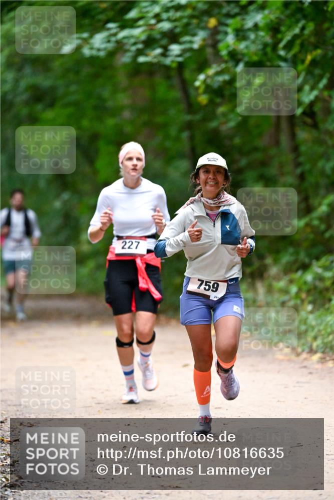 11.10.2026 - Bramfelder Halbmarathon 2026 Dr. Thomas Lammeyer http://msf.ph/oto/10816635 11.10.2026 09:53:58 Laufen 227, 759, 24 meine-sportfotos.de