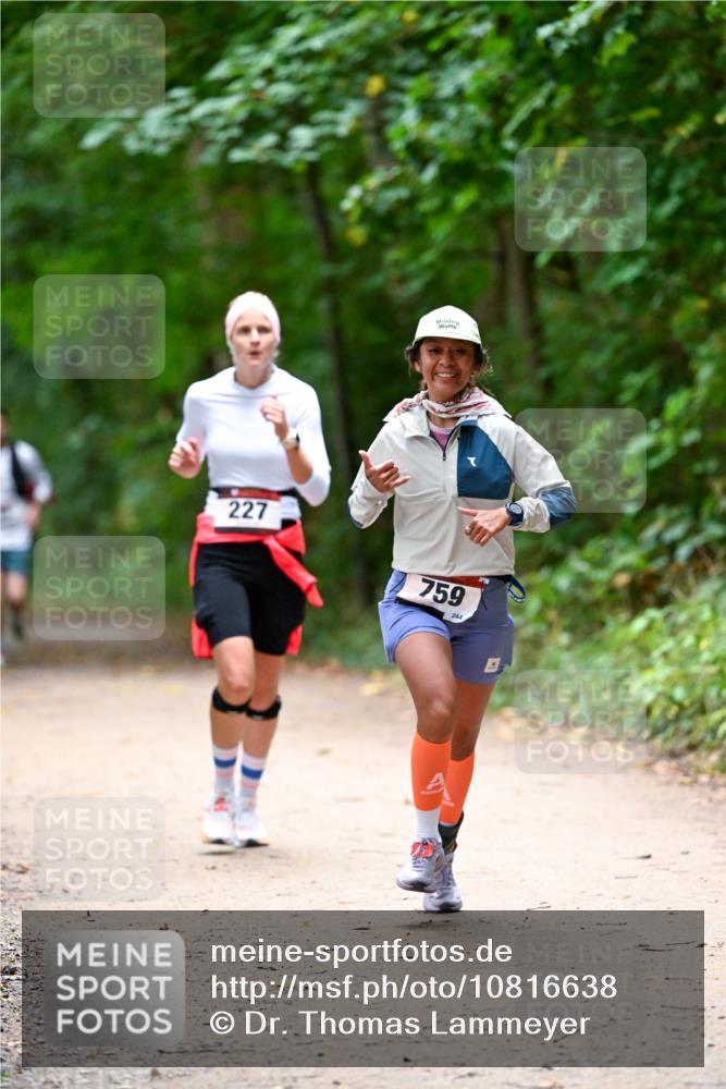 11.10.2026 - Bramfelder Halbmarathon 2026 Dr. Thomas Lammeyer http://msf.ph/oto/10816638 11.10.2026 09:53:58 Laufen 227, 759, 244 meine-sportfotos.de