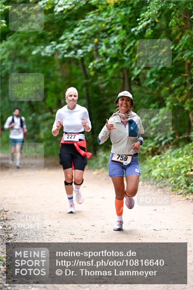 11.10.2026 - Bramfelder Halbmarathon 2026 Dr. Thomas Lammeyer http://msf.ph/oto/10816640 11.10.2026 09:53:58 Laufen 227, 759 meine-sportfotos.de
