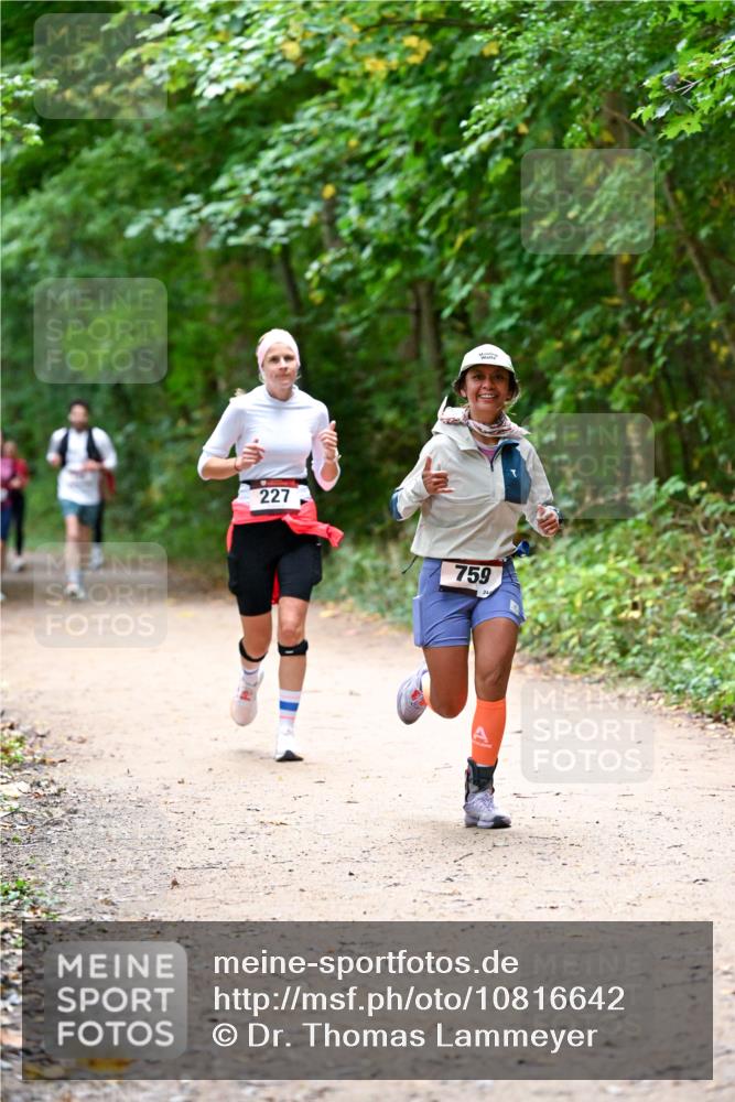 11.10.2026 - Bramfelder Halbmarathon 2026 Dr. Thomas Lammeyer http://msf.ph/oto/10816642 11.10.2026 09:53:59 Laufen 227, 759 meine-sportfotos.de
