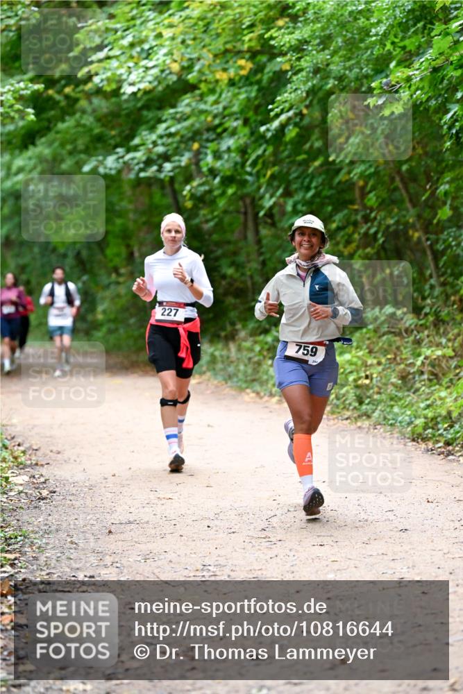 11.10.2026 - Bramfelder Halbmarathon 2026 Dr. Thomas Lammeyer http://msf.ph/oto/10816644 11.10.2026 09:53:59 Laufen 227, 759 meine-sportfotos.de