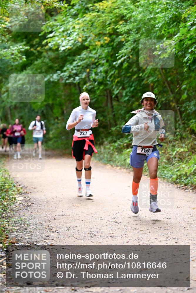 11.10.2026 - Bramfelder Halbmarathon 2026 Dr. Thomas Lammeyer http://msf.ph/oto/10816646 11.10.2026 09:53:59 Laufen 227, 759 meine-sportfotos.de