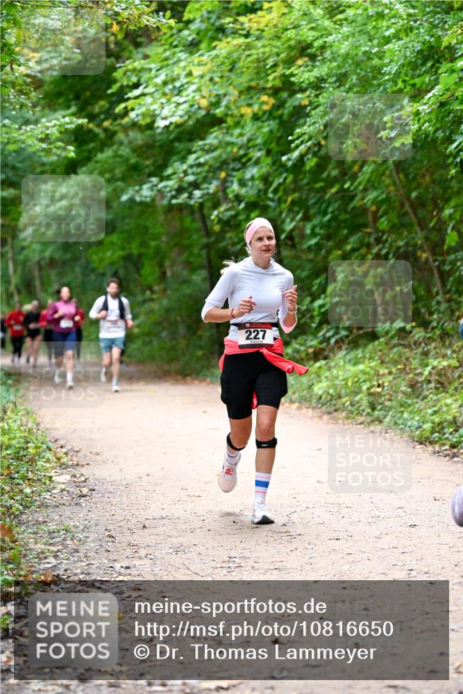 11.10.2026 - Bramfelder Halbmarathon 2026 Dr. Thomas Lammeyer http://msf.ph/oto/10816650 11.10.2026 09:54:00 Laufen 227 meine-sportfotos.de