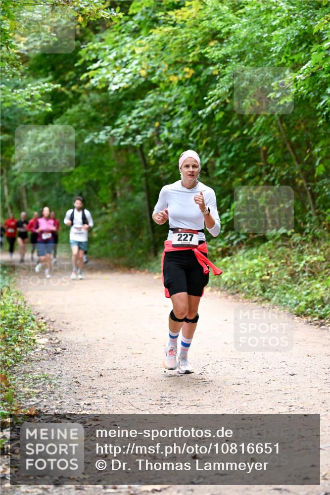 11.10.2026 - Bramfelder Halbmarathon 2026 Dr. Thomas Lammeyer http://msf.ph/oto/10816651 11.10.2026 09:54:00 Laufen 227 meine-sportfotos.de