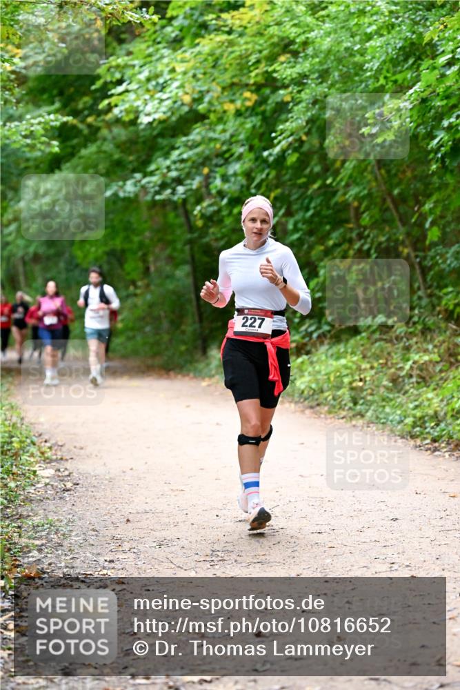 11.10.2026 - Bramfelder Halbmarathon 2026 Dr. Thomas Lammeyer http://msf.ph/oto/10816652 11.10.2026 09:54:00 Laufen 227 meine-sportfotos.de