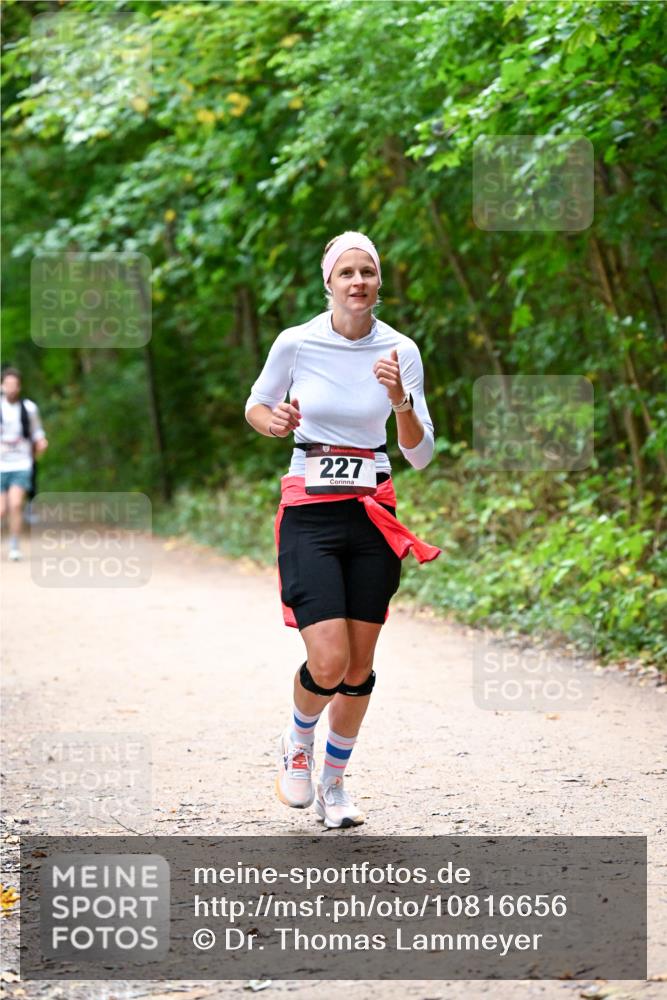 11.10.2026 - Bramfelder Halbmarathon 2026 Dr. Thomas Lammeyer http://msf.ph/oto/10816656 11.10.2026 09:54:01 Laufen 227 meine-sportfotos.de