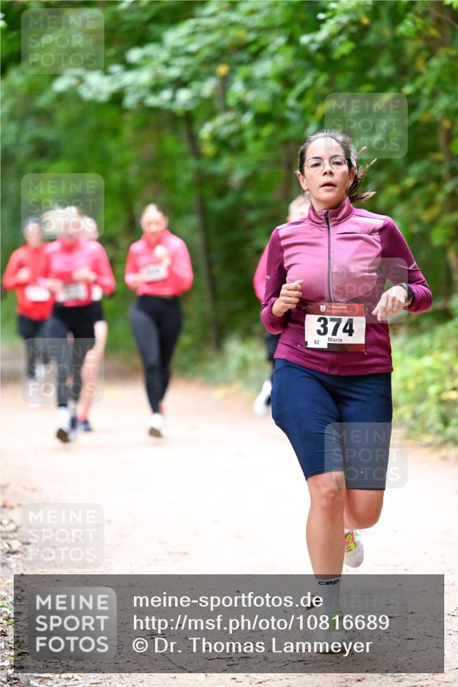 11.10.2026 - Bramfelder Halbmarathon 2026 Dr. Thomas Lammeyer http://msf.ph/oto/10816689 11.10.2026 09:54:08 Laufen 374, 82 meine-sportfotos.de