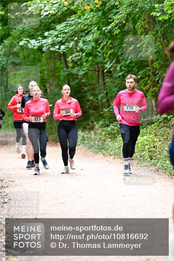11.10.2026 - Bramfelder Halbmarathon 2026 Dr. Thomas Lammeyer http://msf.ph/oto/10816692 11.10.2026 09:54:09 Laufen 323, 360, 270 meine-sportfotos.de