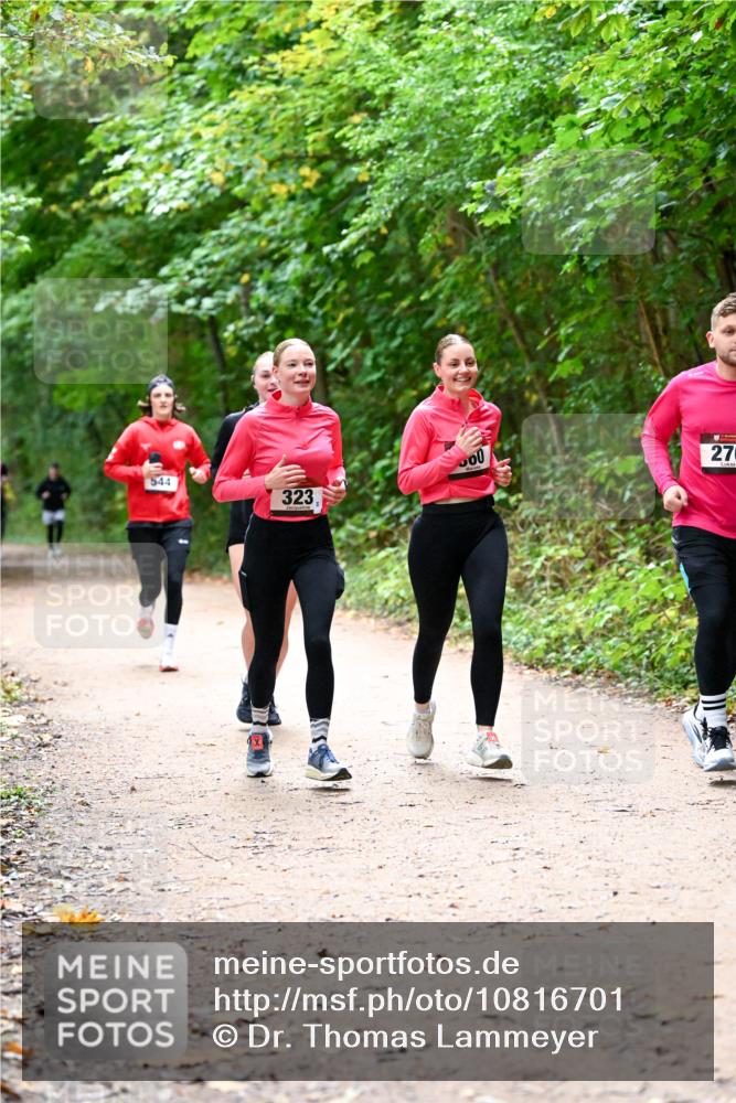 11.10.2026 - Bramfelder Halbmarathon 2026 Dr. Thomas Lammeyer http://msf.ph/oto/10816701 11.10.2026 09:54:11 Laufen 544, 00, 323, 27 meine-sportfotos.de