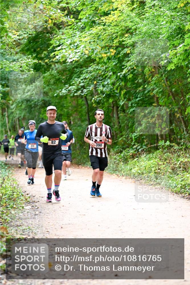 11.10.2026 - Bramfelder Halbmarathon 2026 Dr. Thomas Lammeyer http://msf.ph/oto/10816765 11.10.2026 09:54:26 Laufen 69, 82, 114 meine-sportfotos.de