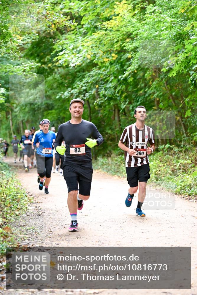 11.10.2026 - Bramfelder Halbmarathon 2026 Dr. Thomas Lammeyer http://msf.ph/oto/10816773 11.10.2026 09:54:27 Laufen 69, 82, 390 meine-sportfotos.de
