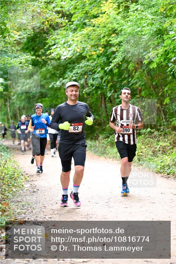 11.10.2026 - Bramfelder Halbmarathon 2026 Dr. Thomas Lammeyer http://msf.ph/oto/10816774 11.10.2026 09:54:27 Laufen 69, 82, 390 meine-sportfotos.de