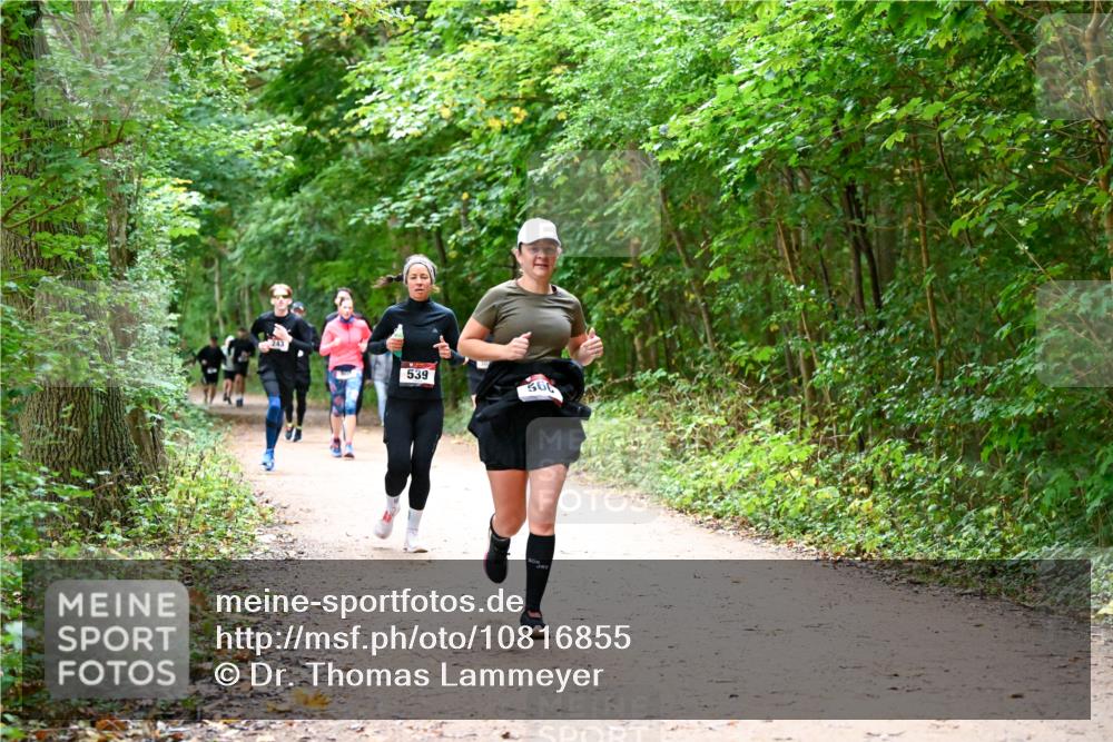 11.10.2026 - Bramfelder Halbmarathon 2026 Dr. Thomas Lammeyer http://msf.ph/oto/10816855 11.10.2026 09:54:47 Laufen 539, 36 meine-sportfotos.de