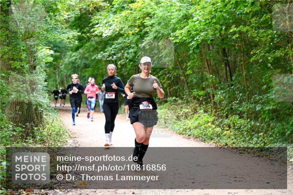 11.10.2026 - Bramfelder Halbmarathon 2026 Dr. Thomas Lammeyer http://msf.ph/oto/10816856 11.10.2026 09:54:47 Laufen 539, 560 meine-sportfotos.de