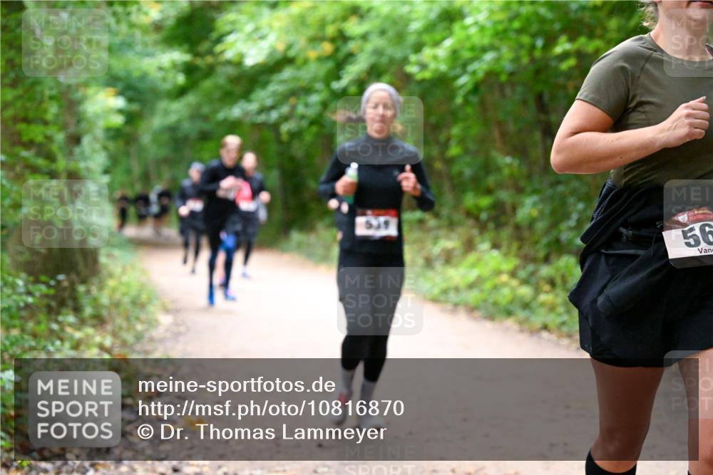 11.10.2026 - Bramfelder Halbmarathon 2026 Dr. Thomas Lammeyer http://msf.ph/oto/10816870 11.10.2026 09:54:49 Laufen 539, 5, 56 meine-sportfotos.de