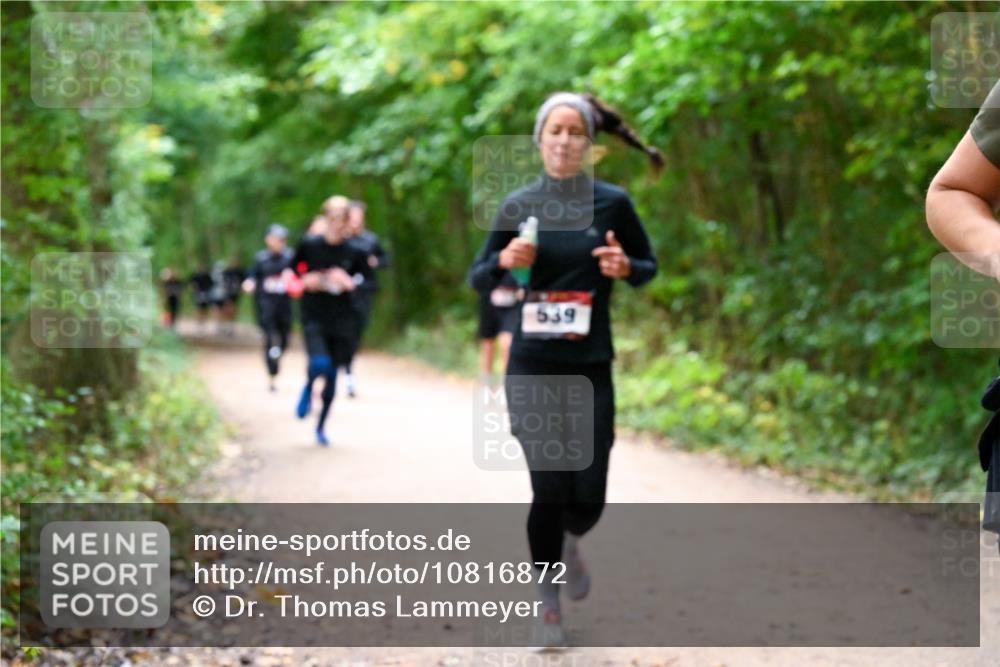 11.10.2026 - Bramfelder Halbmarathon 2026 Dr. Thomas Lammeyer http://msf.ph/oto/10816872 11.10.2026 09:54:49 Laufen 539 meine-sportfotos.de