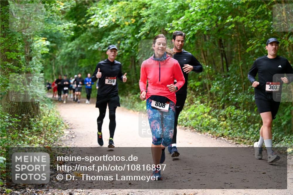 11.10.2026 - Bramfelder Halbmarathon 2026 Dr. Thomas Lammeyer http://msf.ph/oto/10816897 11.10.2026 09:54:53 Laufen 259, 808, 303 meine-sportfotos.de