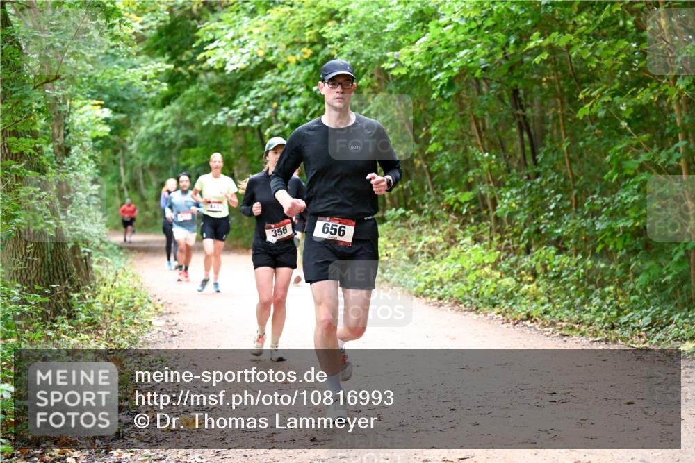 11.10.2026 - Bramfelder Halbmarathon 2026 Dr. Thomas Lammeyer http://msf.ph/oto/10816993 11.10.2026 09:55:16 Laufen 356, 656 meine-sportfotos.de