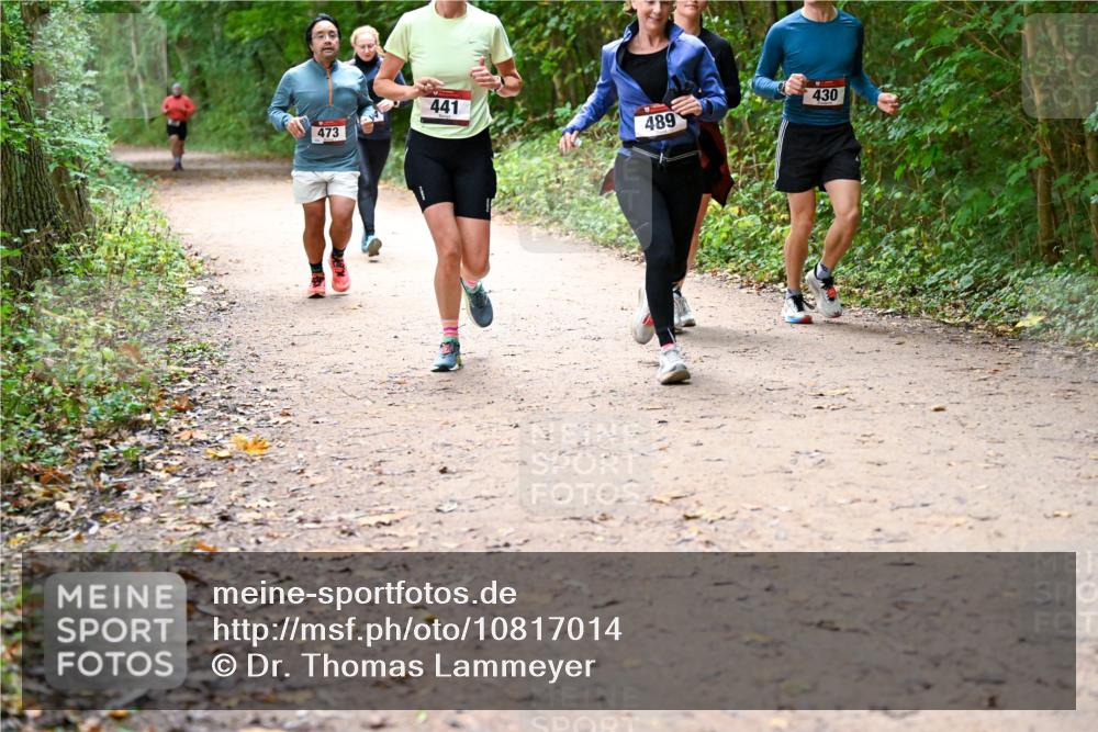 11.10.2026 - Bramfelder Halbmarathon 2026 Dr. Thomas Lammeyer http://msf.ph/oto/10817014 11.10.2026 09:55:19 Laufen 473, 441, 489, 430 meine-sportfotos.de
