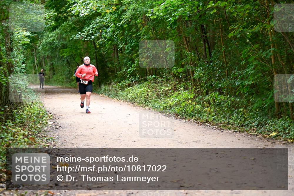 11.10.2026 - Bramfelder Halbmarathon 2026 Dr. Thomas Lammeyer http://msf.ph/oto/10817022 11.10.2026 09:55:28 Laufen 278 meine-sportfotos.de