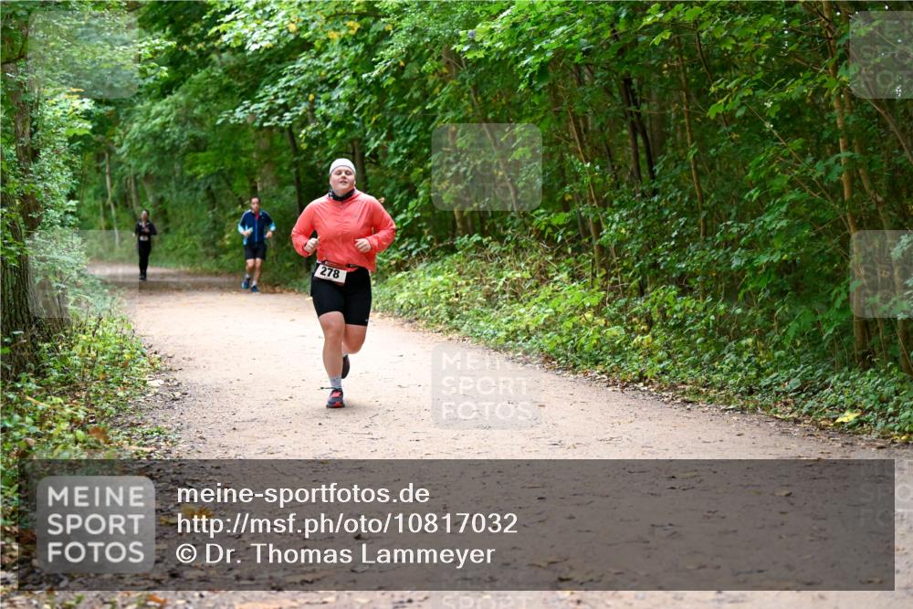11.10.2026 - Bramfelder Halbmarathon 2026 Dr. Thomas Lammeyer http://msf.ph/oto/10817032 11.10.2026 09:55:30 Laufen 278 meine-sportfotos.de