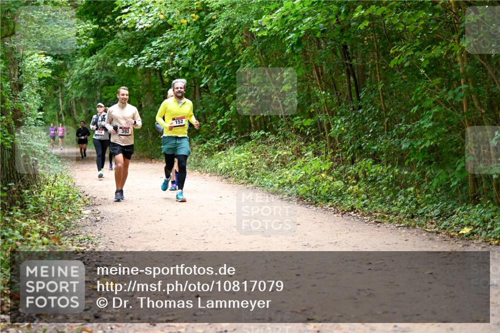 11.10.2026 - Bramfelder Halbmarathon 2026 Dr. Thomas Lammeyer http://msf.ph/oto/10817079 11.10.2026 09:55:59 Laufen 358, 392, 152 meine-sportfotos.de