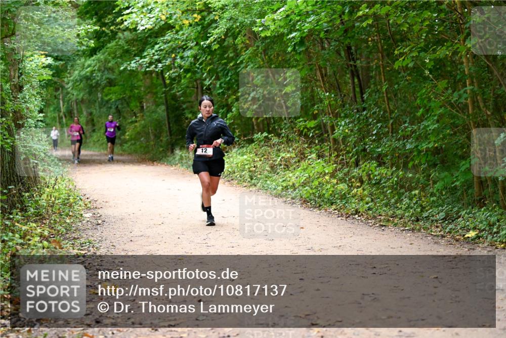 11.10.2026 - Bramfelder Halbmarathon 2026 Dr. Thomas Lammeyer http://msf.ph/oto/10817137 11.10.2026 09:56:09 Laufen 12 meine-sportfotos.de