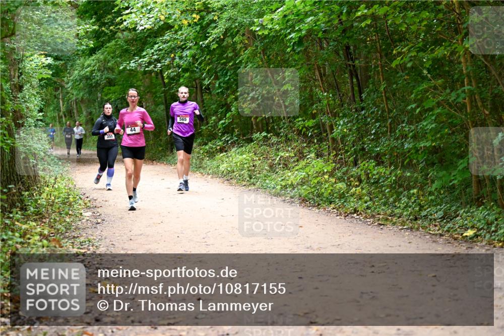 11.10.2026 - Bramfelder Halbmarathon 2026 Dr. Thomas Lammeyer http://msf.ph/oto/10817155 11.10.2026 09:56:16 Laufen 355, 565, 44 meine-sportfotos.de