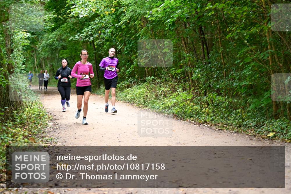 11.10.2026 - Bramfelder Halbmarathon 2026 Dr. Thomas Lammeyer http://msf.ph/oto/10817158 11.10.2026 09:56:17 Laufen 355, 565 meine-sportfotos.de