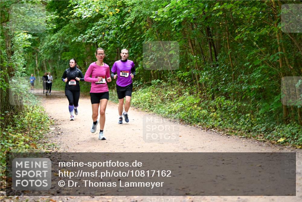 11.10.2026 - Bramfelder Halbmarathon 2026 Dr. Thomas Lammeyer http://msf.ph/oto/10817162 11.10.2026 09:56:17 Laufen 355, 565 meine-sportfotos.de
