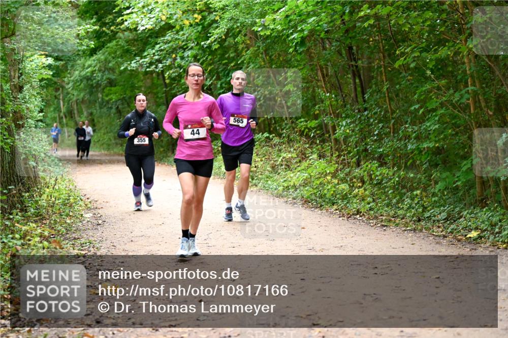11.10.2026 - Bramfelder Halbmarathon 2026 Dr. Thomas Lammeyer http://msf.ph/oto/10817166 11.10.2026 09:56:18 Laufen 355, 44, 565 meine-sportfotos.de
