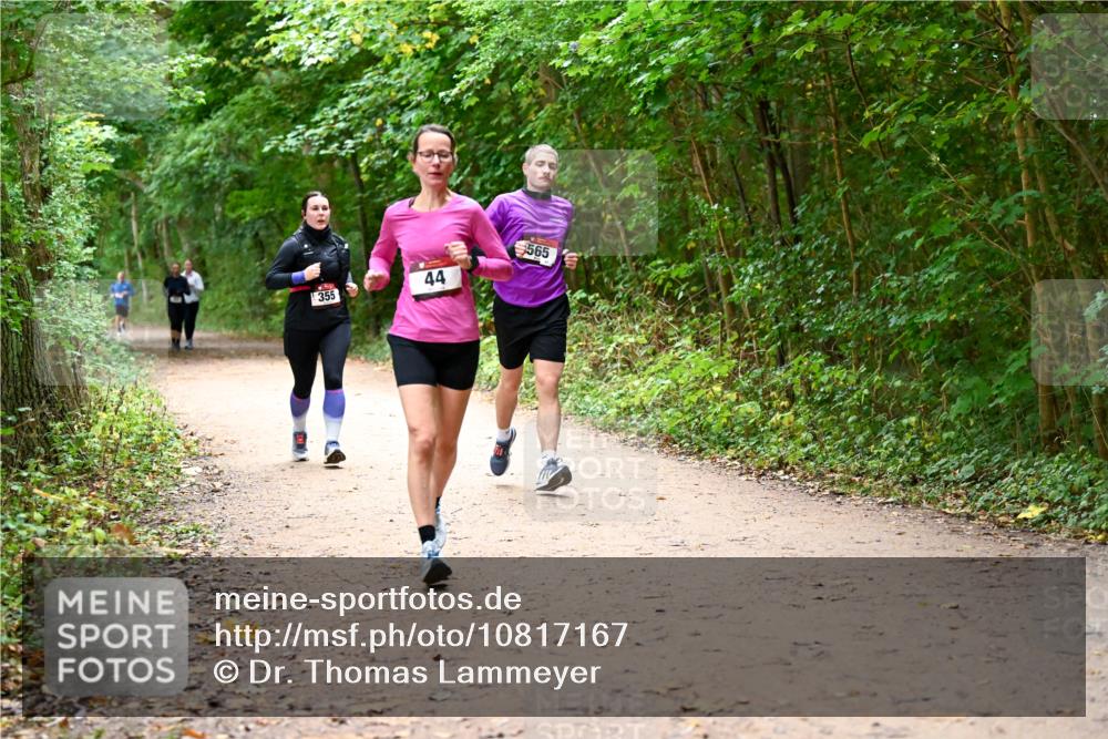 11.10.2026 - Bramfelder Halbmarathon 2026 Dr. Thomas Lammeyer http://msf.ph/oto/10817167 11.10.2026 09:56:18 Laufen 355, 44, 565 meine-sportfotos.de