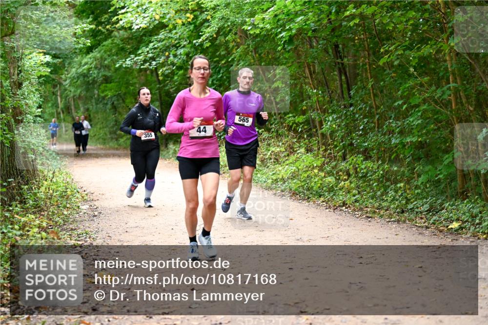 11.10.2026 - Bramfelder Halbmarathon 2026 Dr. Thomas Lammeyer http://msf.ph/oto/10817168 11.10.2026 09:56:19 Laufen 355, 44, 565 meine-sportfotos.de