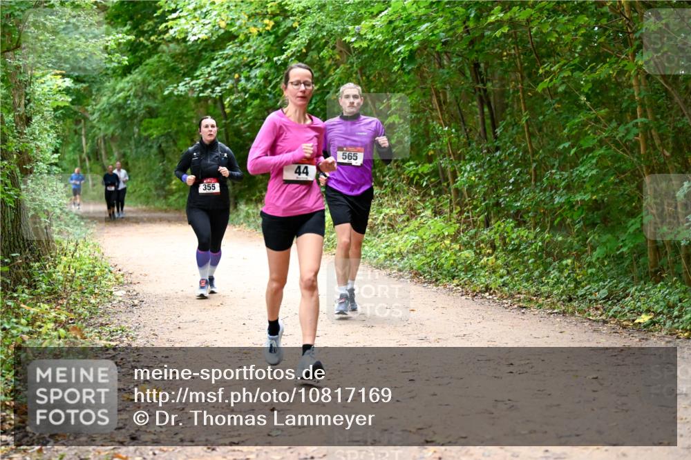 11.10.2026 - Bramfelder Halbmarathon 2026 Dr. Thomas Lammeyer http://msf.ph/oto/10817169 11.10.2026 09:56:19 Laufen 355, 44, 565 meine-sportfotos.de