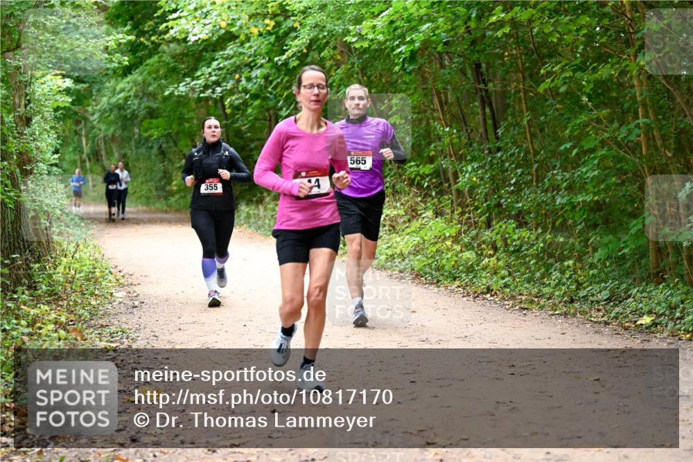 11.10.2026 - Bramfelder Halbmarathon 2026 Dr. Thomas Lammeyer http://msf.ph/oto/10817170 11.10.2026 09:56:19 Laufen 355, 565 meine-sportfotos.de