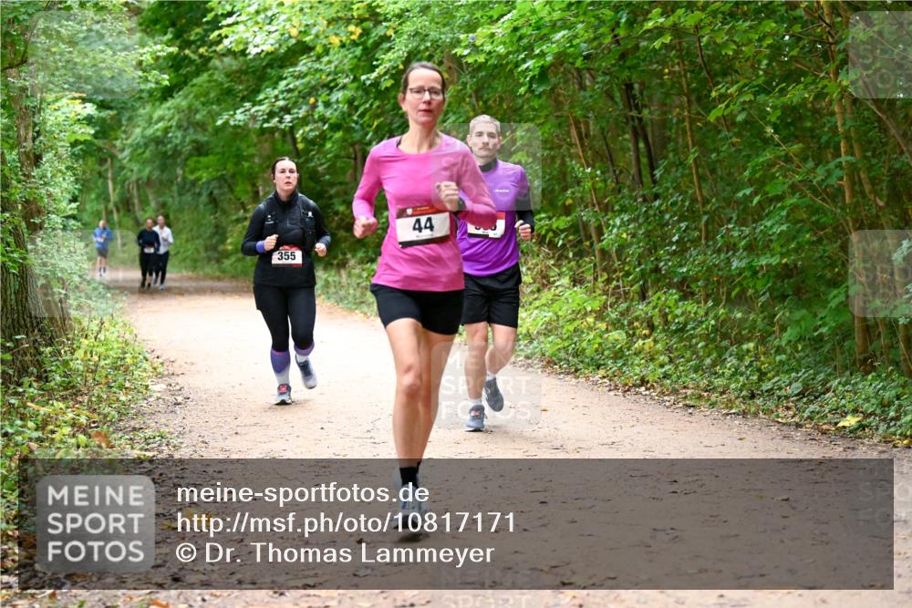 11.10.2026 - Bramfelder Halbmarathon 2026 Dr. Thomas Lammeyer http://msf.ph/oto/10817171 11.10.2026 09:56:19 Laufen 355, 44 meine-sportfotos.de
