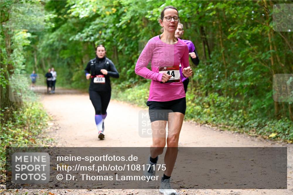 11.10.2026 - Bramfelder Halbmarathon 2026 Dr. Thomas Lammeyer http://msf.ph/oto/10817175 11.10.2026 09:56:19 Laufen 355, 14 meine-sportfotos.de