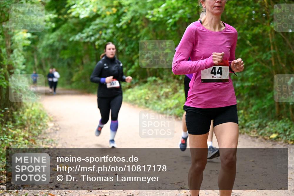 11.10.2026 - Bramfelder Halbmarathon 2026 Dr. Thomas Lammeyer http://msf.ph/oto/10817178 11.10.2026 09:56:20 Laufen 351, 44 meine-sportfotos.de