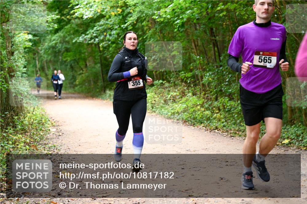11.10.2026 - Bramfelder Halbmarathon 2026 Dr. Thomas Lammeyer http://msf.ph/oto/10817182 11.10.2026 09:56:21 Laufen 355, 565, 47 meine-sportfotos.de