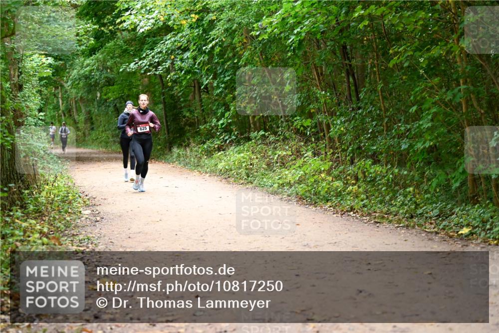 11.10.2026 - Bramfelder Halbmarathon 2026 Dr. Thomas Lammeyer http://msf.ph/oto/10817250 11.10.2026 09:56:43 Laufen 625 meine-sportfotos.de