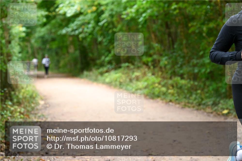 11.10.2026 - Bramfelder Halbmarathon 2026 Dr. Thomas Lammeyer http://msf.ph/oto/10817293 11.10.2026 09:56:49 Laufen  meine-sportfotos.de
