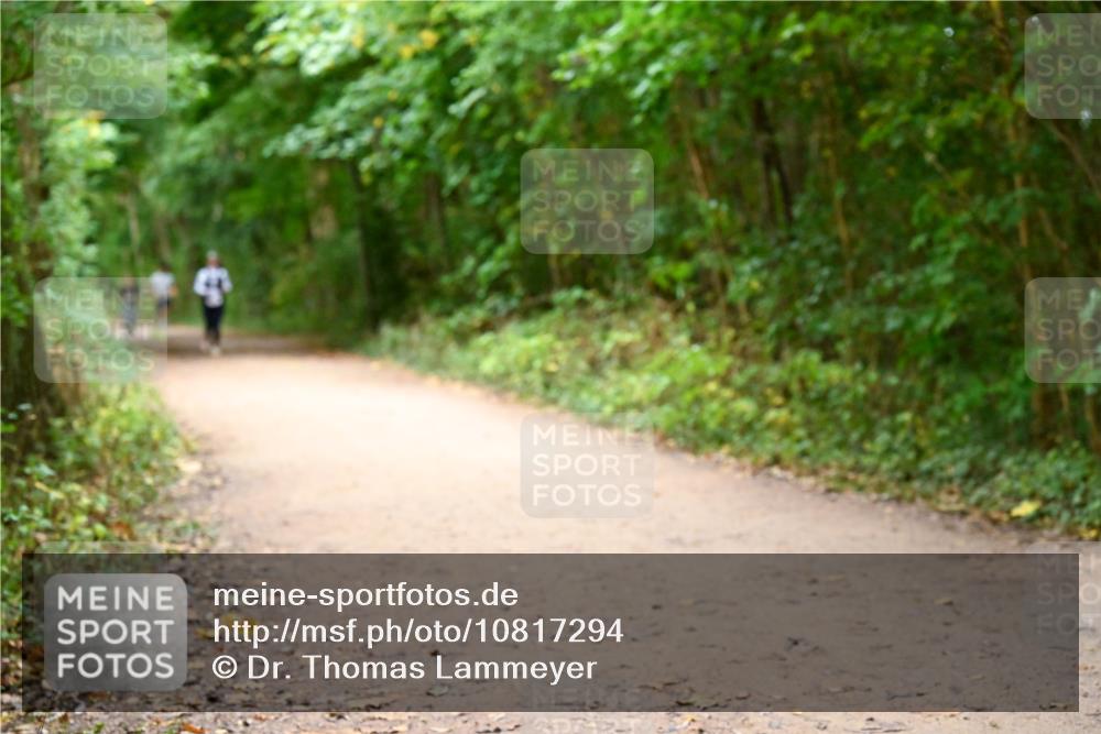 11.10.2026 - Bramfelder Halbmarathon 2026 Dr. Thomas Lammeyer http://msf.ph/oto/10817294 11.10.2026 09:56:49 Laufen  meine-sportfotos.de