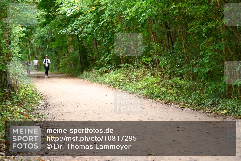 11.10.2026 - Bramfelder Halbmarathon 2026 Dr. Thomas Lammeyer http://msf.ph/oto/10817295 11.10.2026 09:56:49 Laufen  meine-sportfotos.de
