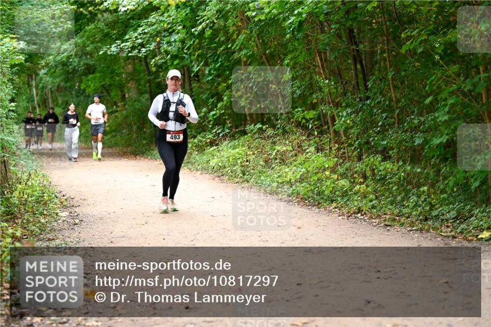 11.10.2026 - Bramfelder Halbmarathon 2026 Dr. Thomas Lammeyer http://msf.ph/oto/10817297 11.10.2026 09:56:58 Laufen 493 meine-sportfotos.de
