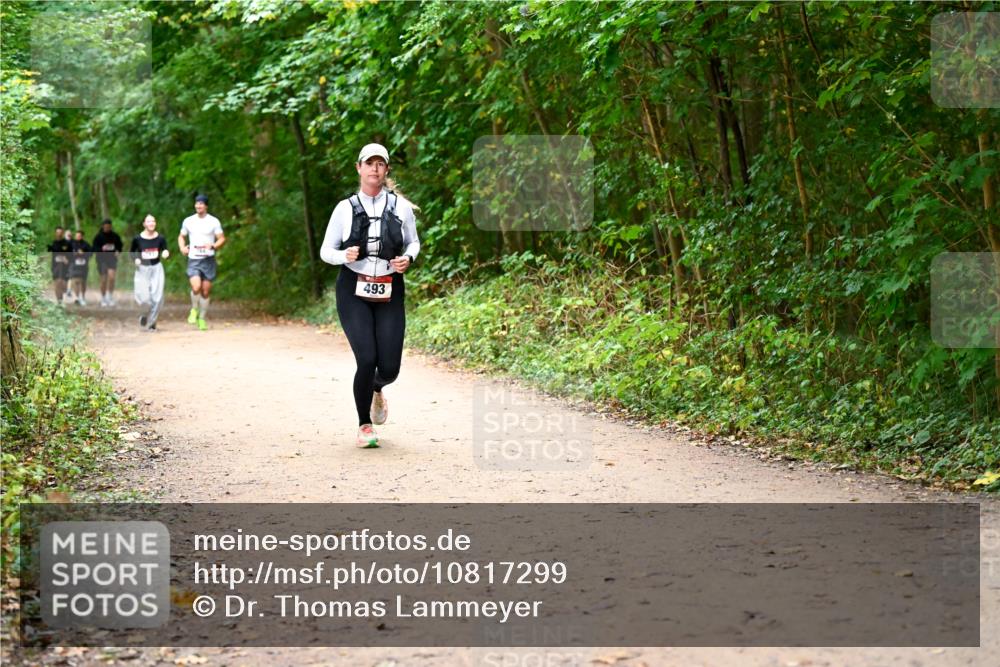 11.10.2026 - Bramfelder Halbmarathon 2026 Dr. Thomas Lammeyer http://msf.ph/oto/10817299 11.10.2026 09:56:58 Laufen 493 meine-sportfotos.de