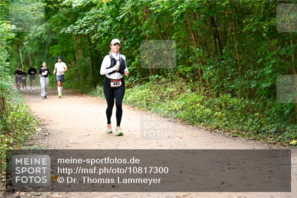 11.10.2026 - Bramfelder Halbmarathon 2026 Dr. Thomas Lammeyer http://msf.ph/oto/10817300 11.10.2026 09:56:58 Laufen 493 meine-sportfotos.de