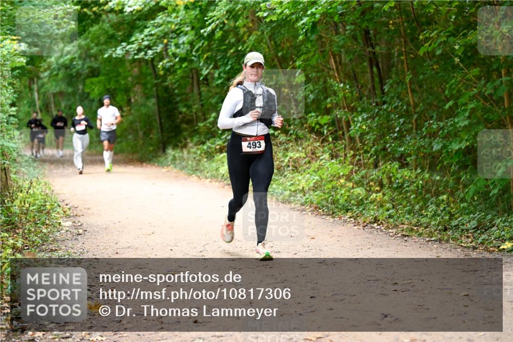 11.10.2026 - Bramfelder Halbmarathon 2026 Dr. Thomas Lammeyer http://msf.ph/oto/10817306 11.10.2026 09:56:59 Laufen 493 meine-sportfotos.de